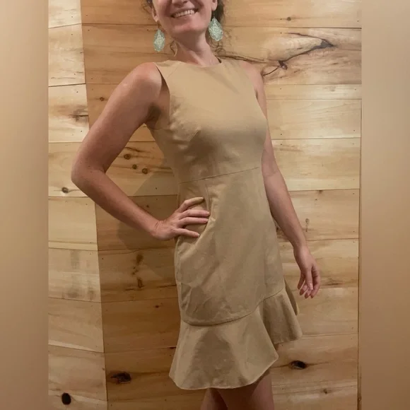 J. Crew Tan Stretchy Dress Size 4P. - Picture 2 of 10